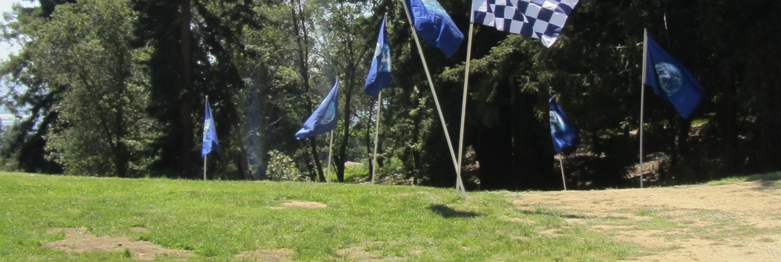 Flags in the field