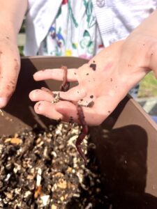 students holding earthworms