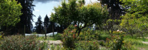 garden view