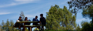 math-at-overlook